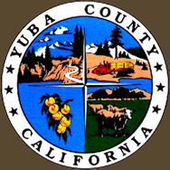 Yuba County Traffic Ticket Experts